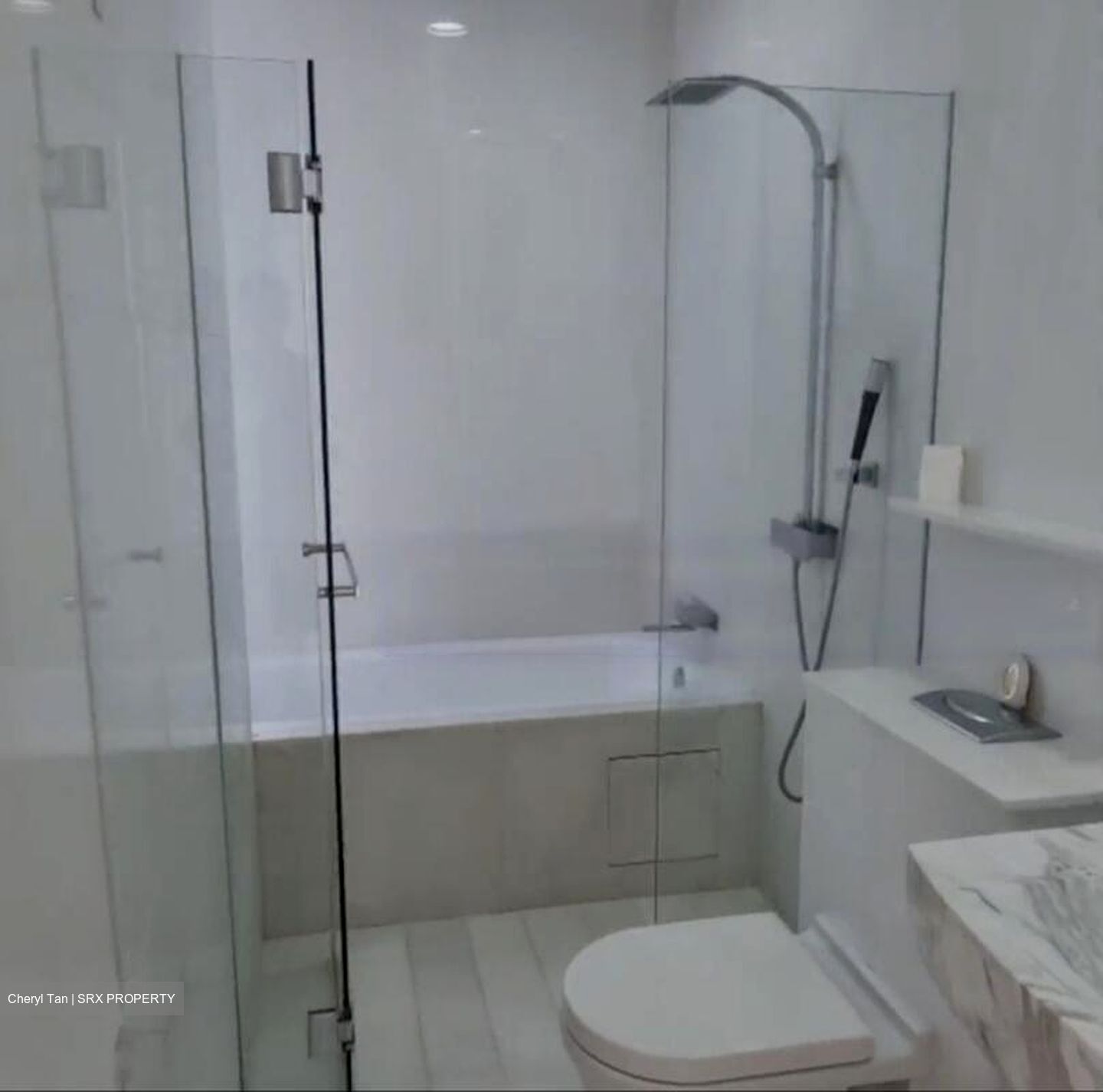 Cairnhill Residences (D9), Apartment #459546131